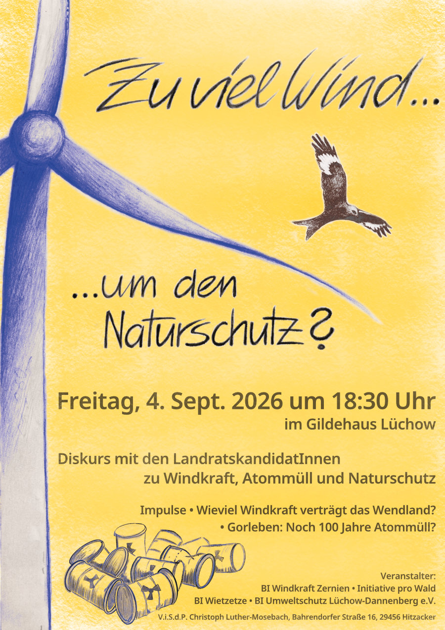 Plakat: Wieviel Windkraft verträgt das Wendland?